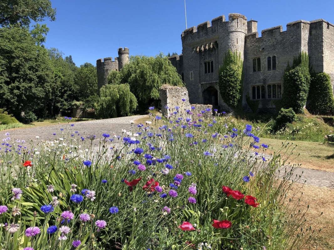 Image for Allington Castle