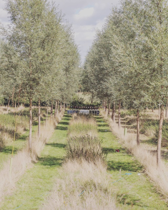 Image for Barnfield Weddings
