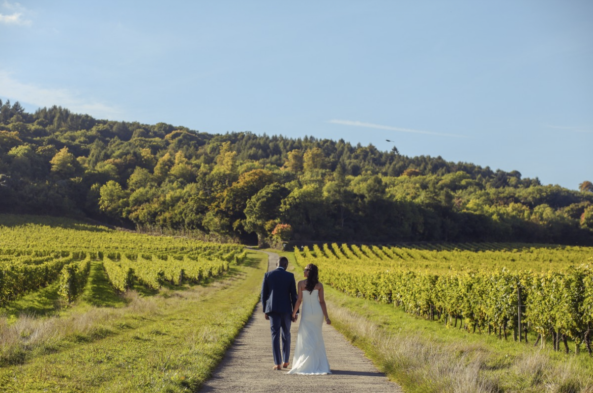 Newlyweds walking through the vineyard at Denbies Wine Estate Wedding Venue