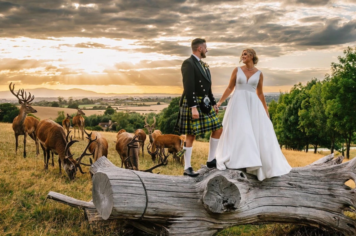 Image for Deer Park Weddings 