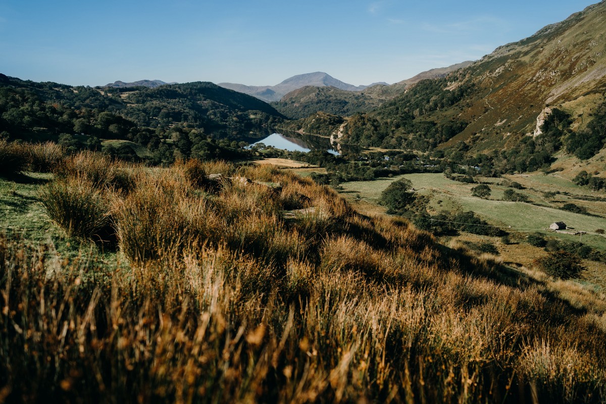 Image for Llyn Gwynant Barns