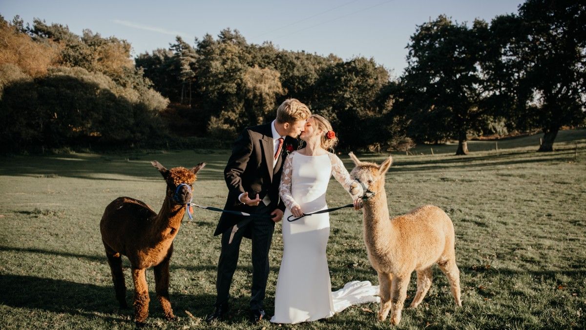 Image for Longthorns Farm Weddings 