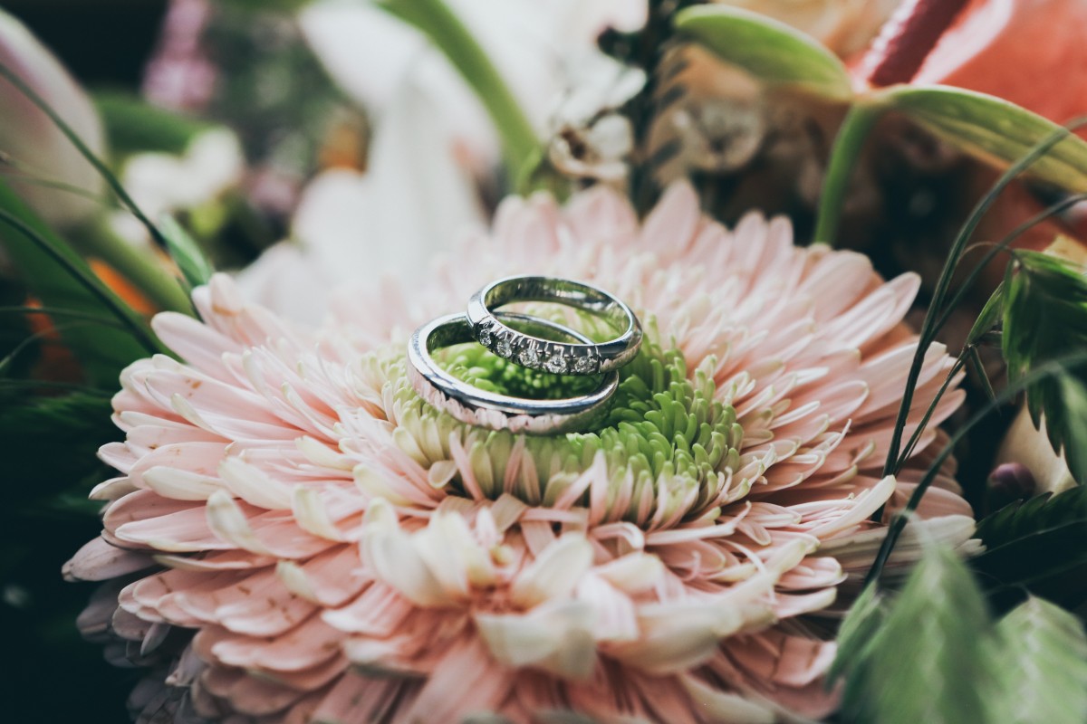 Wedding Rings