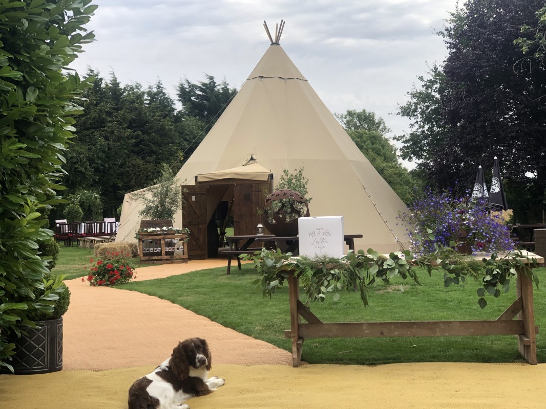 Image for Swan Tipis