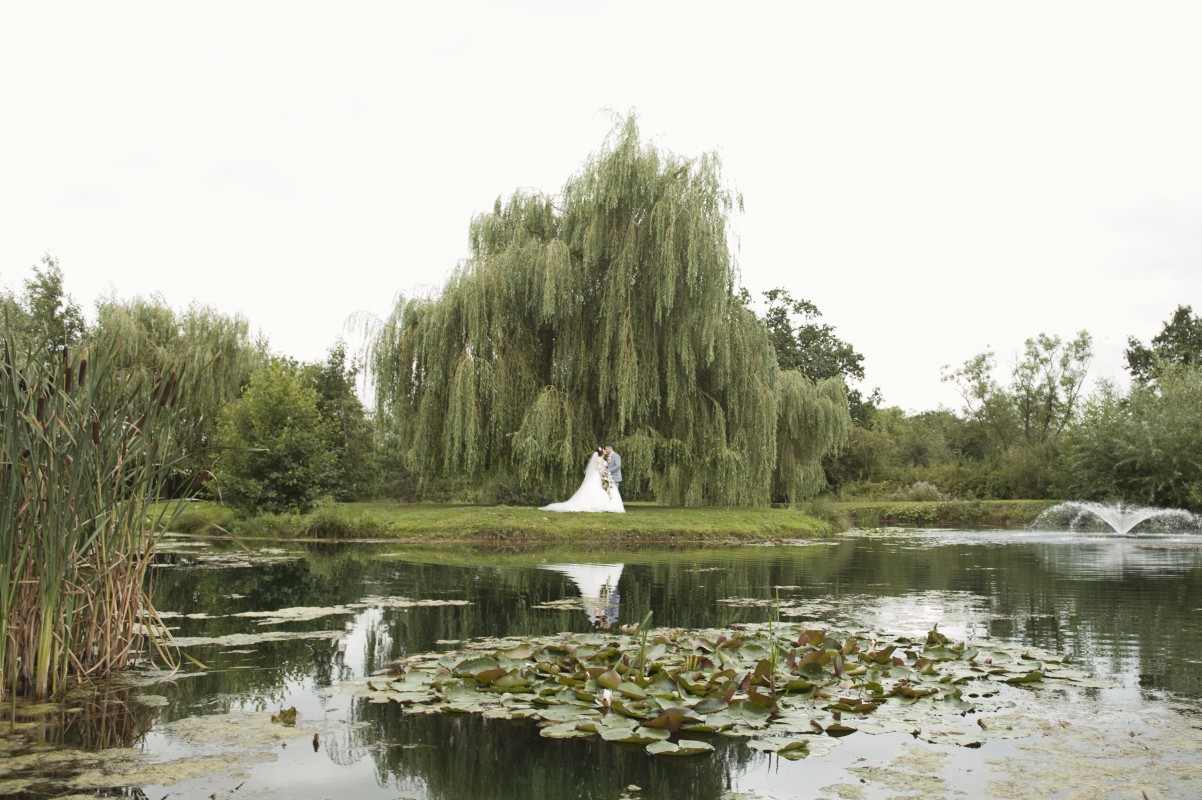 Image for Wootton Park 